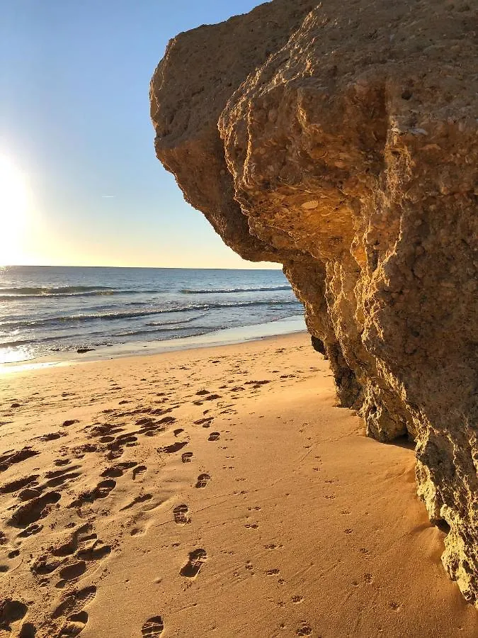 Deluxe Apartment In Albufeira Old Town, 200M Walk To Beach, Pool Parking